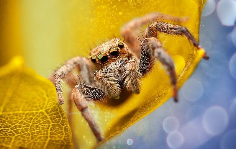 what\'s up ?photo preview