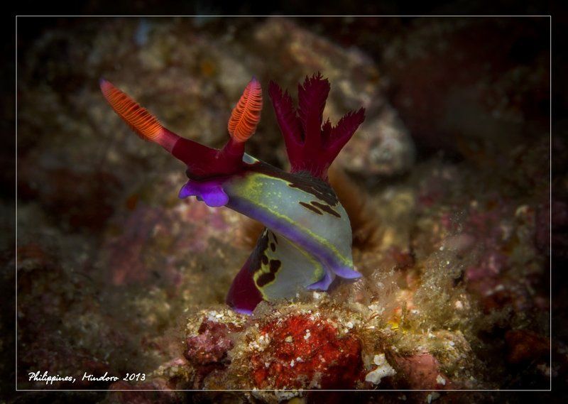 Привет! фото превью