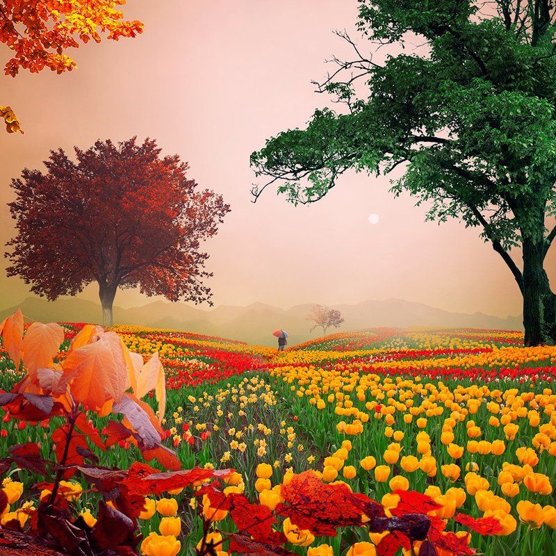 Happy Easter ! фото превью