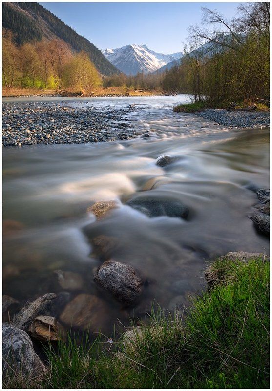 Псышphoto preview