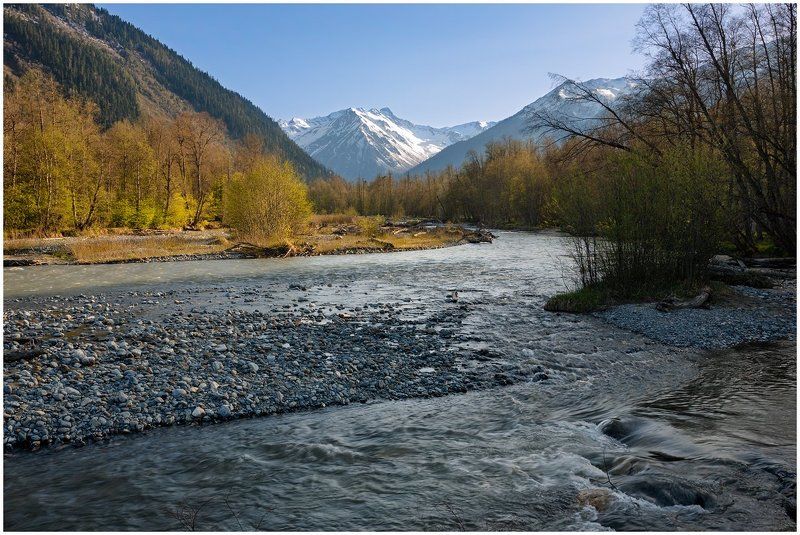 Псыш 2photo preview