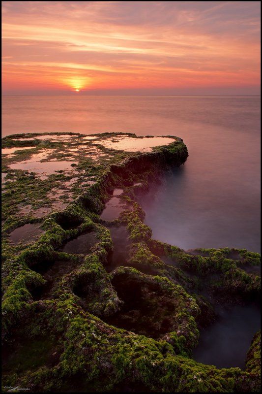 Deep greenphoto preview