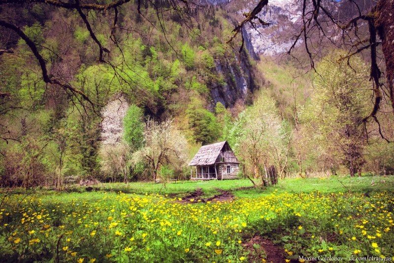 Абхазские ароматыphoto preview