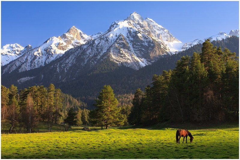 Солнечный день на поляне Таулуphoto preview