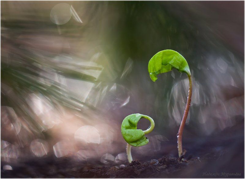 Опять двойка!photo preview