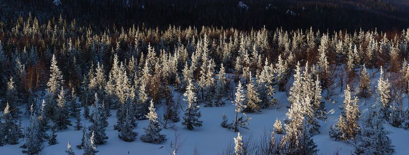 Где надо праздновать Новый Год)photo preview