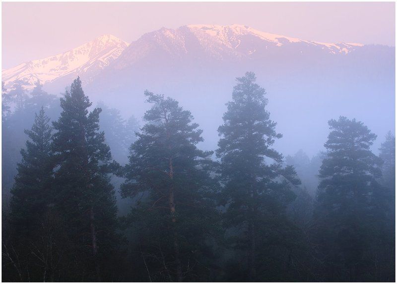 Дыхание горной тайгиphoto preview