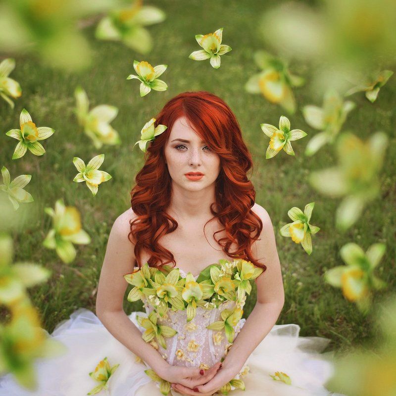 Цветут цветыphoto preview