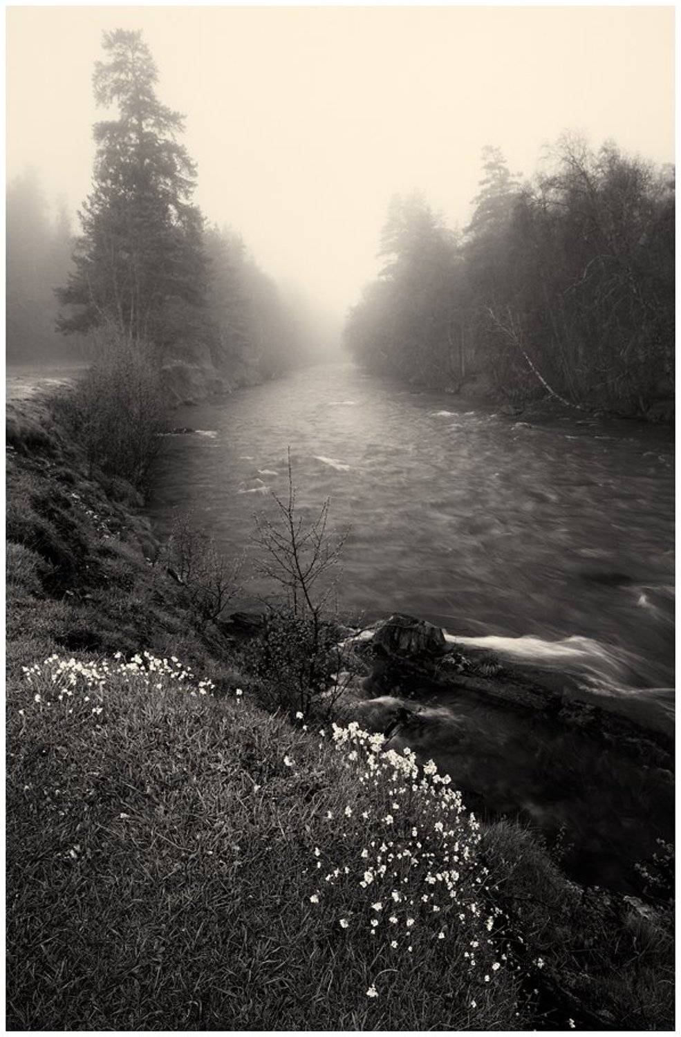 Псыш 3. Автор: Семёнов Дмитрий , Семёнов Дмитрий