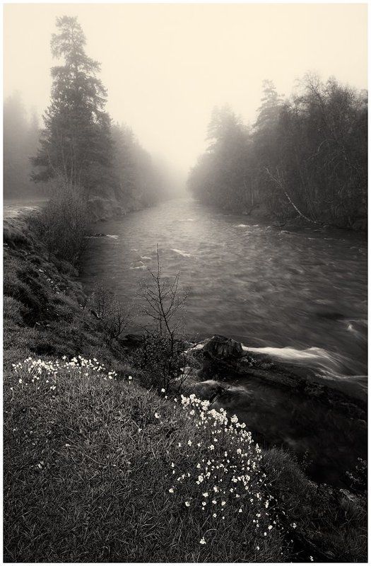 Псыш 3photo preview