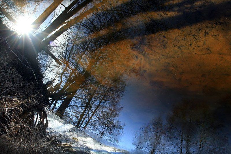 Веснаphoto preview