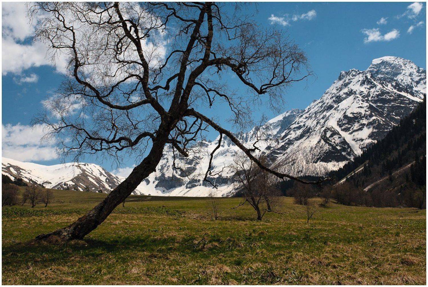 Софийская долина. Автор: Семёнов Дмитрий , Семёнов Дмитрий