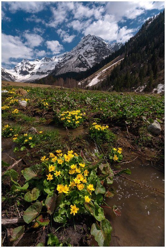 Софийская долина 2photo preview