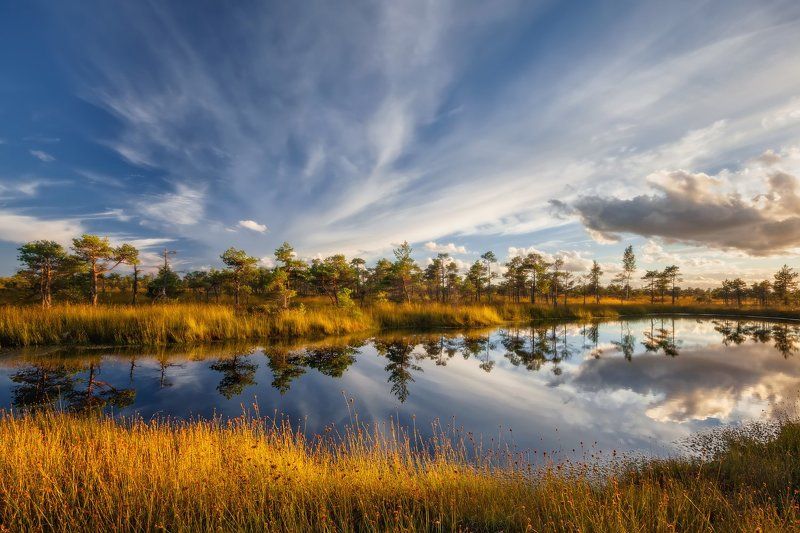 Болото в Кемериphoto preview