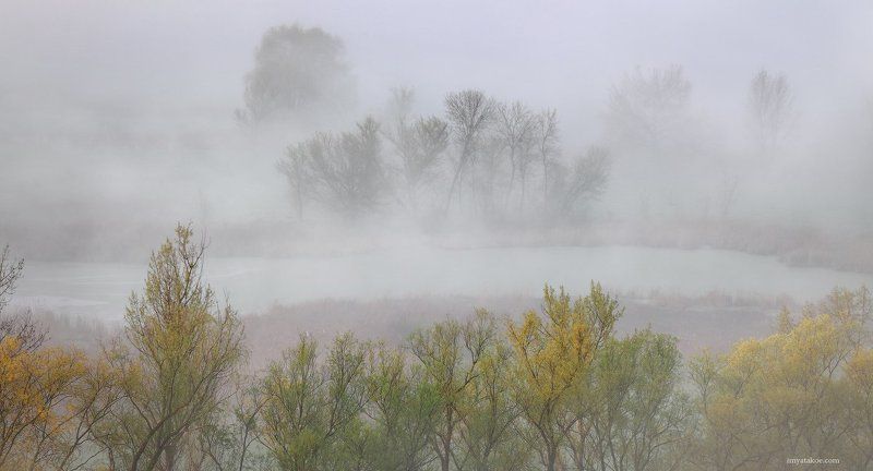 Утро туманноеphoto preview