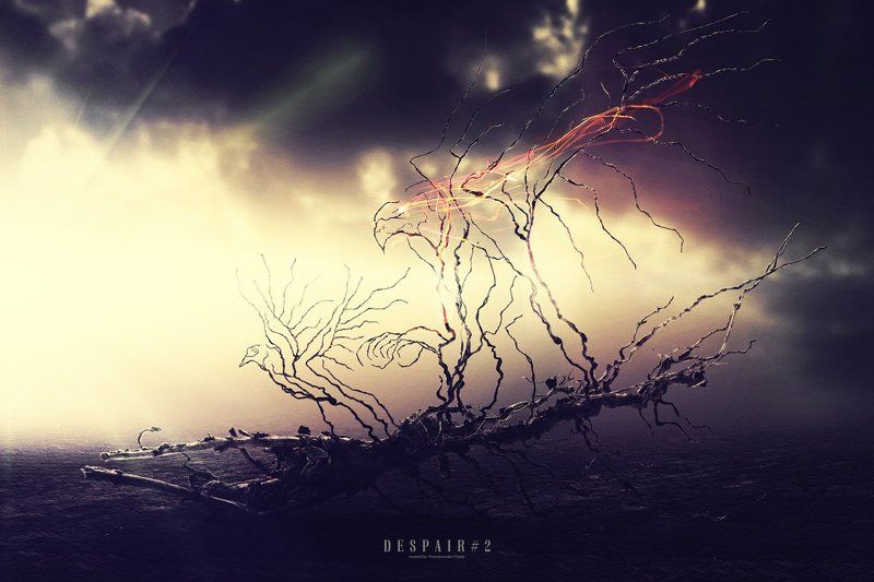 Despair #2photo preview