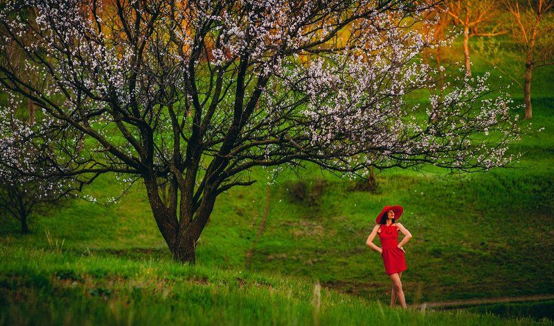 Lady in REDphoto preview