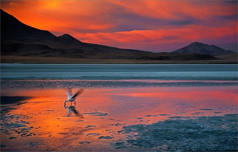 Пораphoto preview