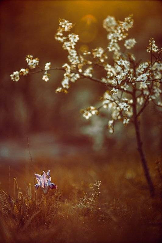 , Татьяна Аверина