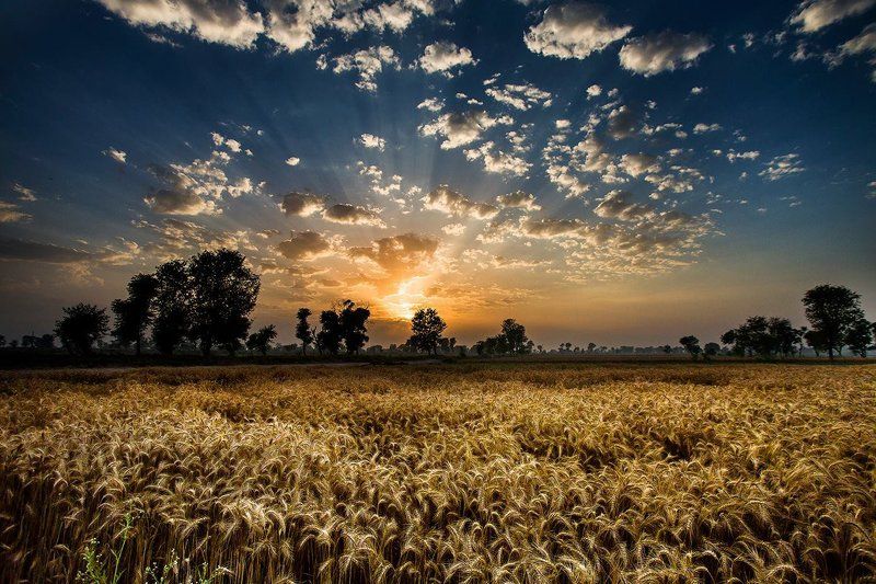 ===1===photo preview