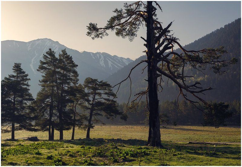 Утренняя архызскаяphoto preview