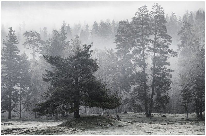 Вышел немец из тумана, вынул ножик из кармана, буду резать, буду бить, все равно тебе водить (что-то припомнилась детская считалочка)photo preview