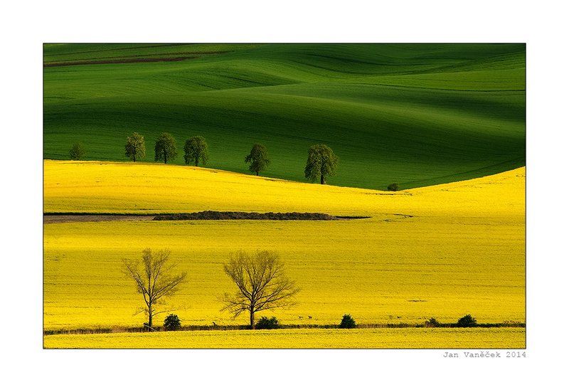 field alleyphoto preview