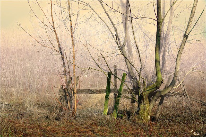 Веснаphoto preview