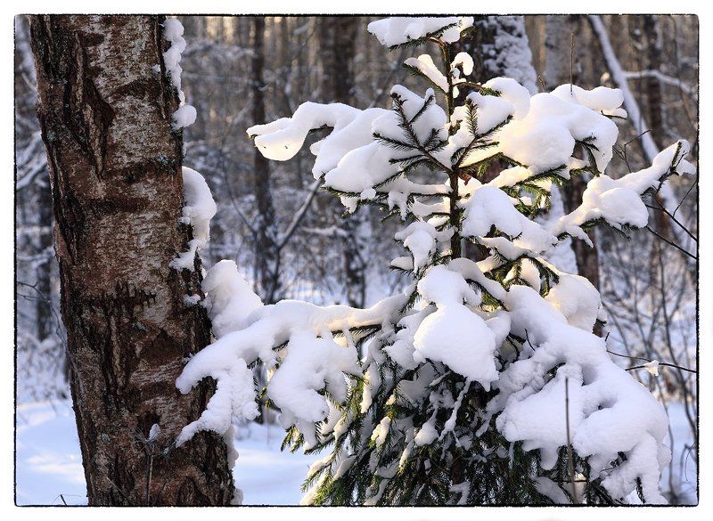 Вроде как была зима...photo preview