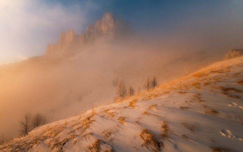 ВСЕГДА МАНЯЩИЙ ТХАЧphoto preview