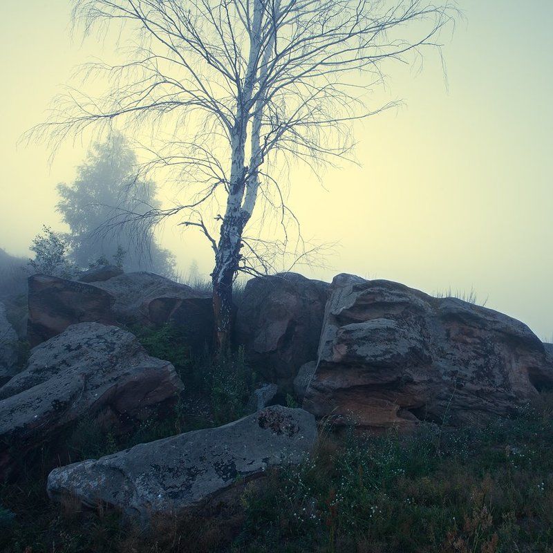 Во поле берёзка стоялаphoto preview