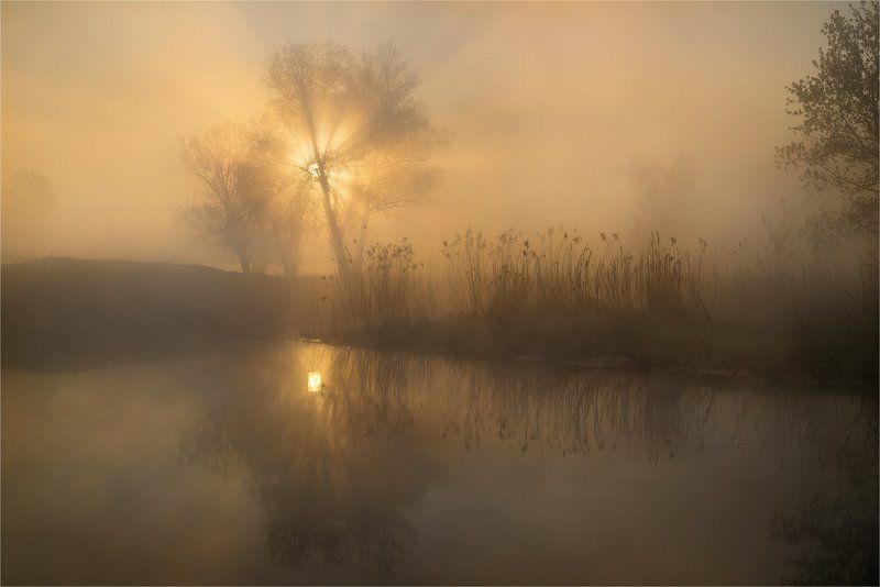 По Волшебной Рекеphoto preview