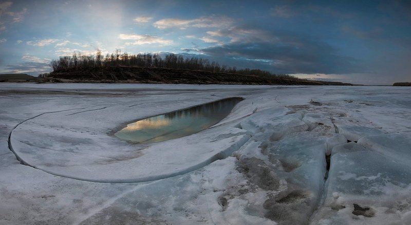 Весенняя паутинаphoto preview