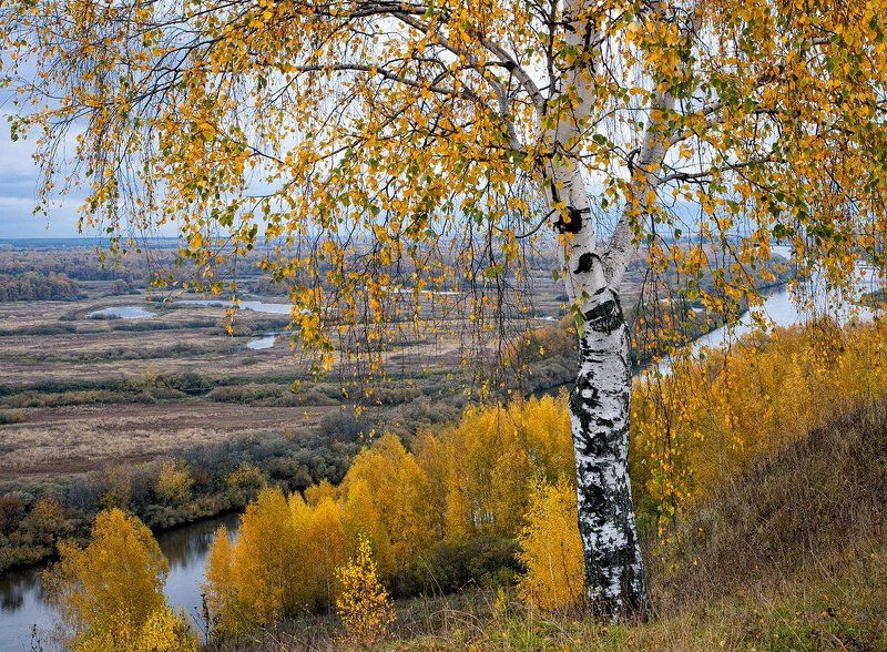 На берегу Клязьмыphoto preview