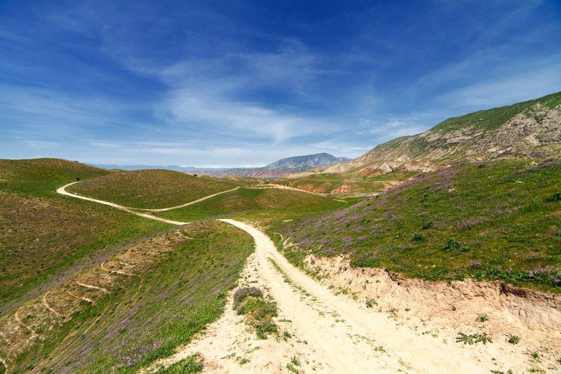 Сарбандphoto preview