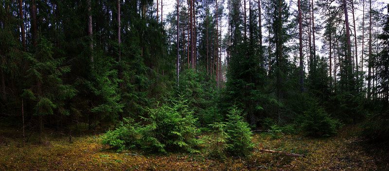 Юнное поколениеphoto preview