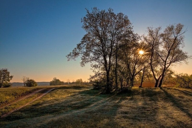 Утроphoto preview