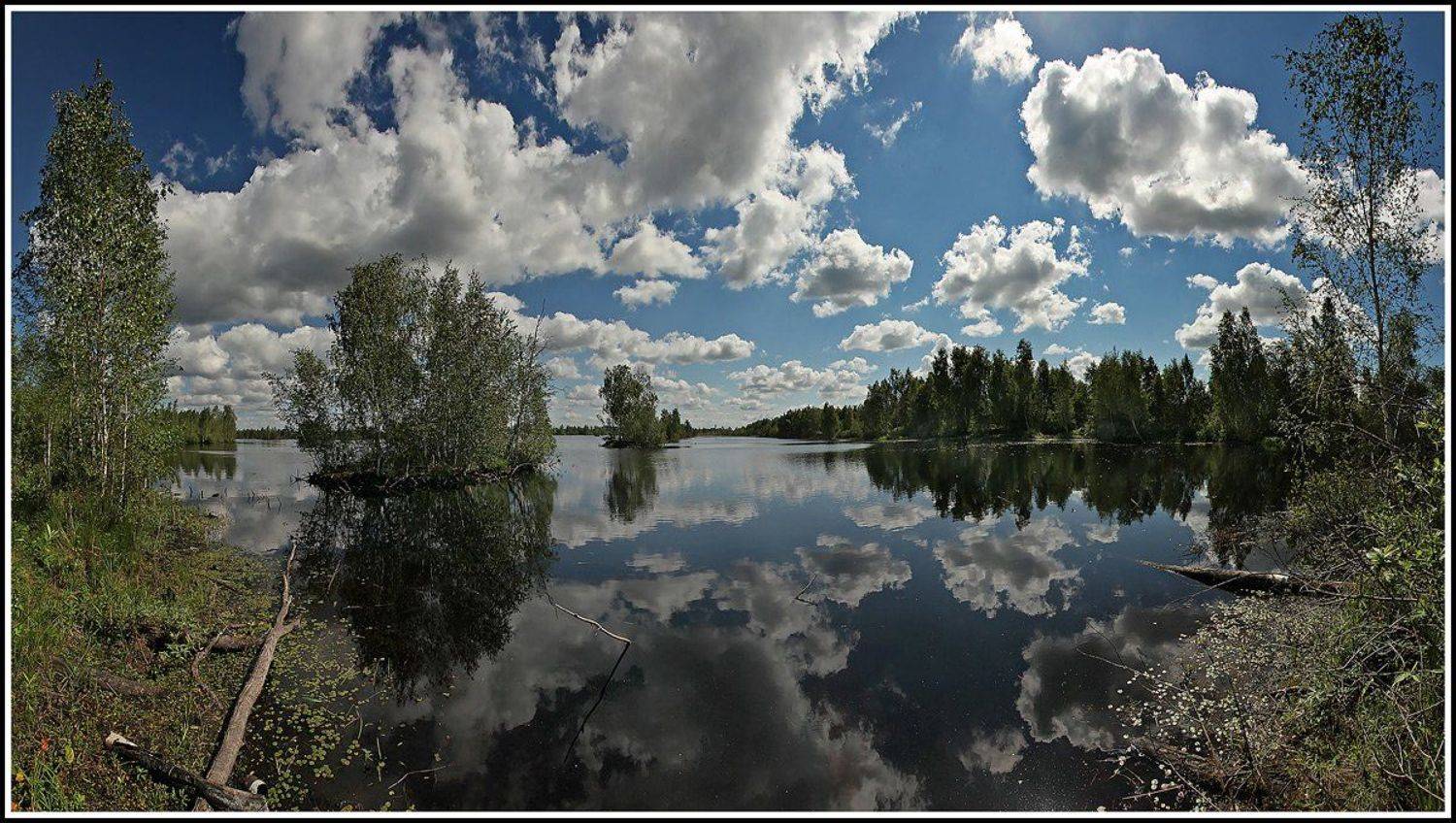 Летняя.... Автор: Лихарев Александр , Лихарев Александр