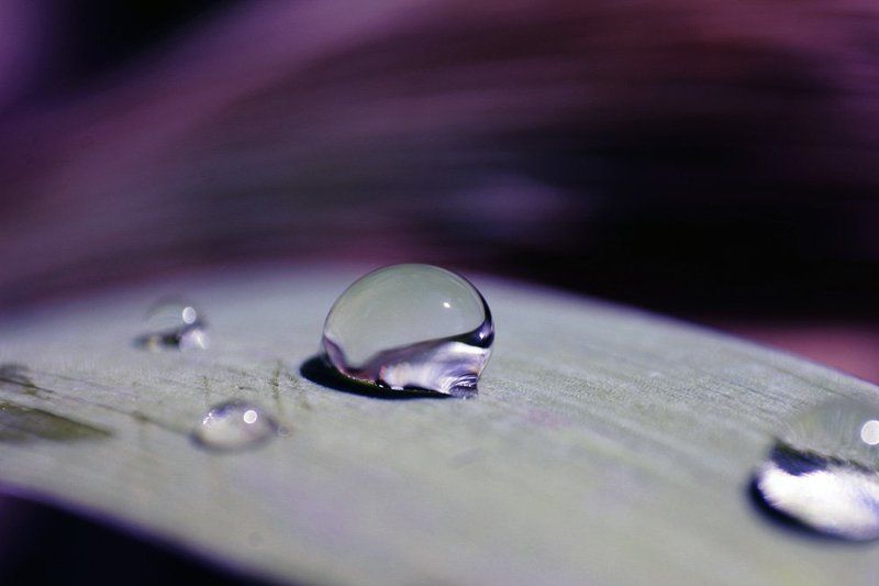 Капитошка фото превью