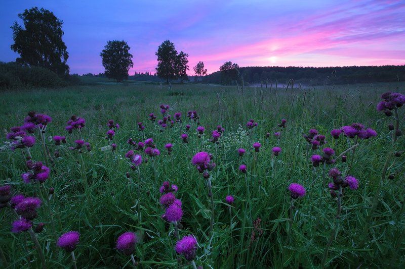 Рассветная... в Кленовоphoto preview