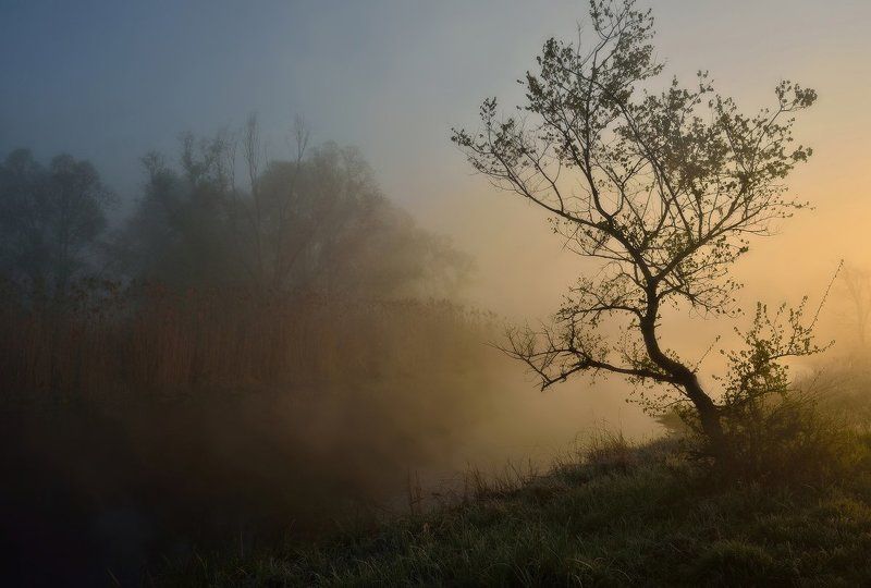 рассвет, река, туман Под соловьиный благовестphoto preview