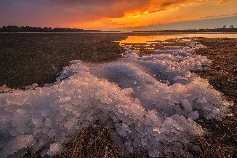 Весна, Вечер, Ферапонтово Хрустальный перезвон весныphoto preview
