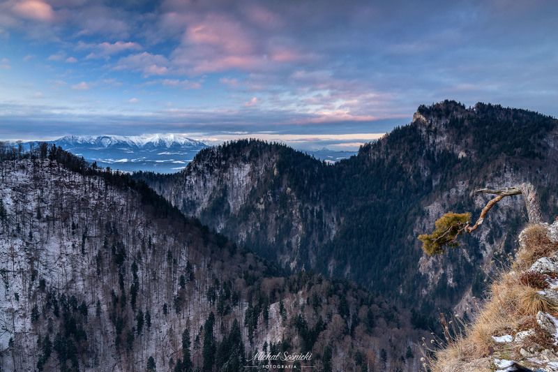 #tatras #mountains #sunrise #slovakia #best #nature #amazing #colours #poland #pieniny #tree #winter Sokolica...photo preview