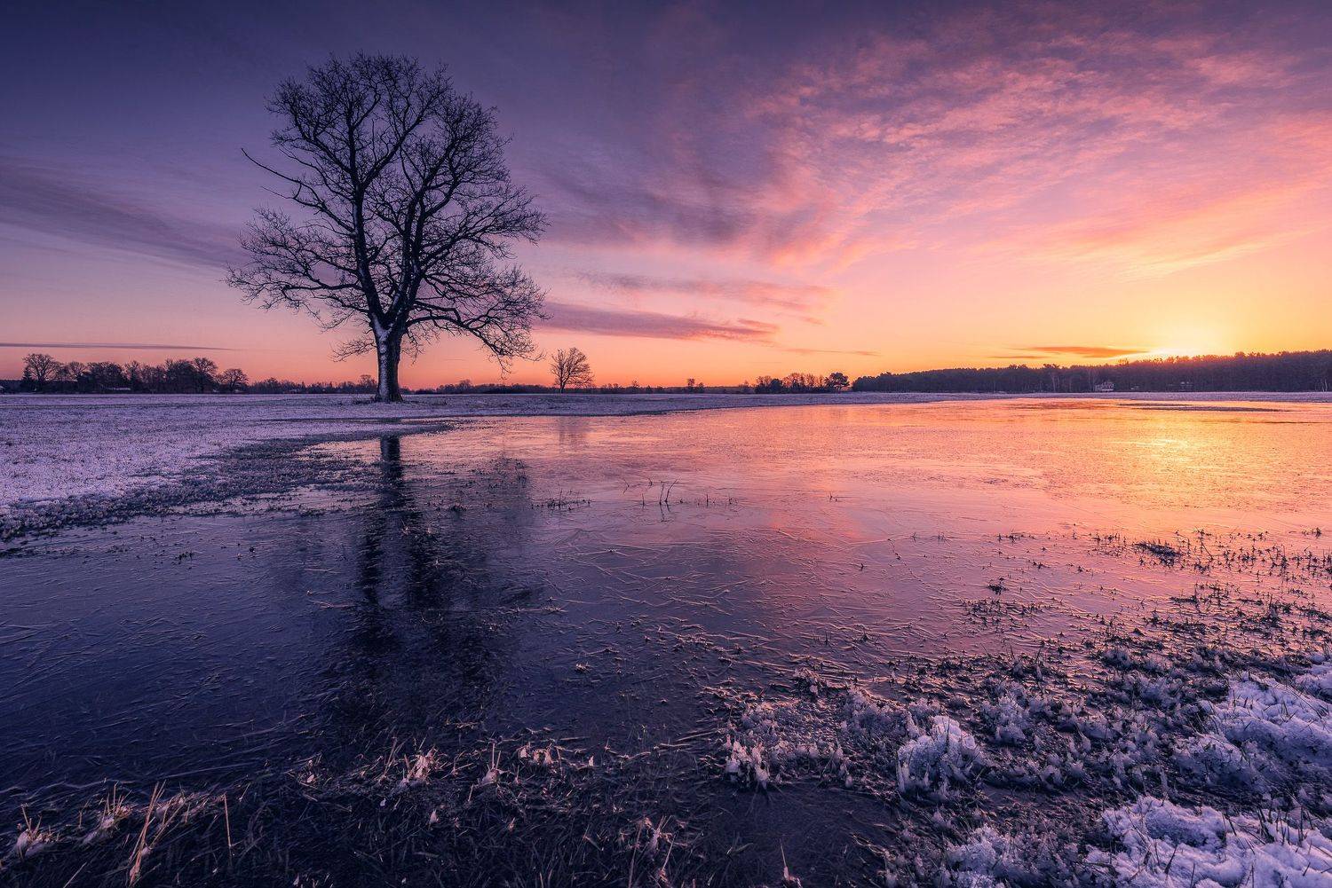 Masovian backwaters. Автор: Tomczak Michał , Tomczak Michał