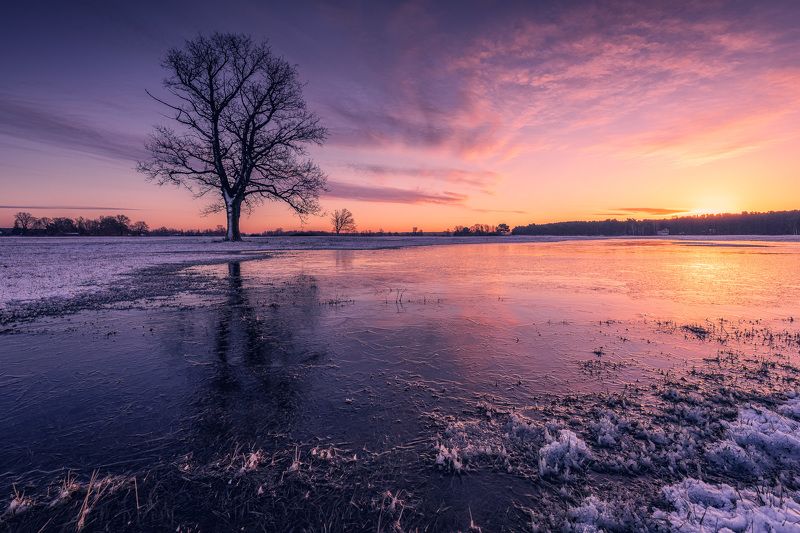 Masovian backwatersphoto preview