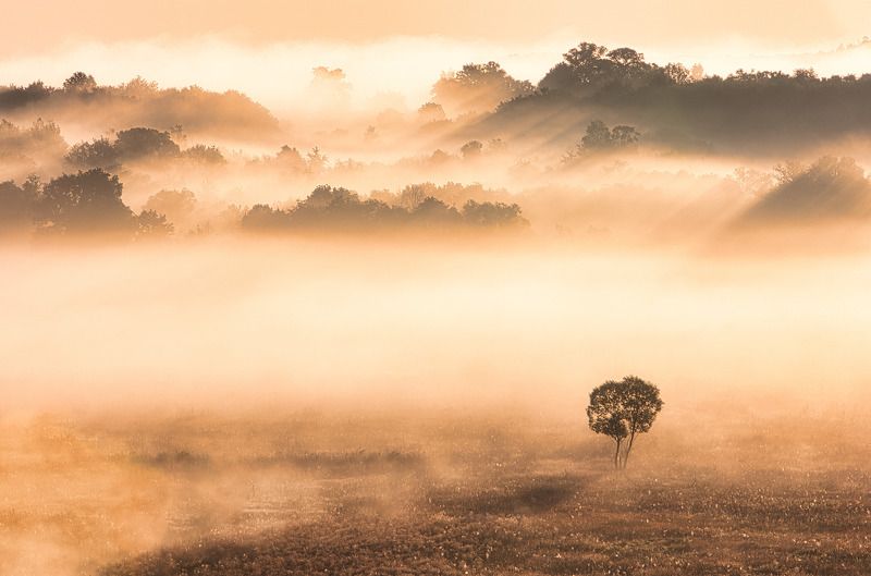 Одиночествоphoto preview