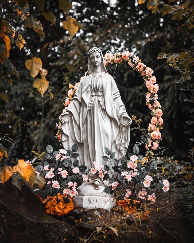 bieszczady, połonina, wetlińska, pasture, wetlina, smerek, cisna, ustrzyki, wołosate, caryńska, poland, fiends, mountains, podkarpacie, podkarpackie, tourism, trekking, hiking, green, grass, autumn, brown, gold, sky, blue, cottage, pooh, trail, panorama, Bieszczady...photo preview