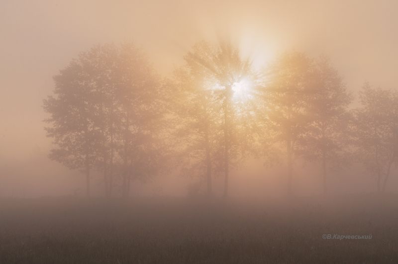 Ранним майским утром...photo preview