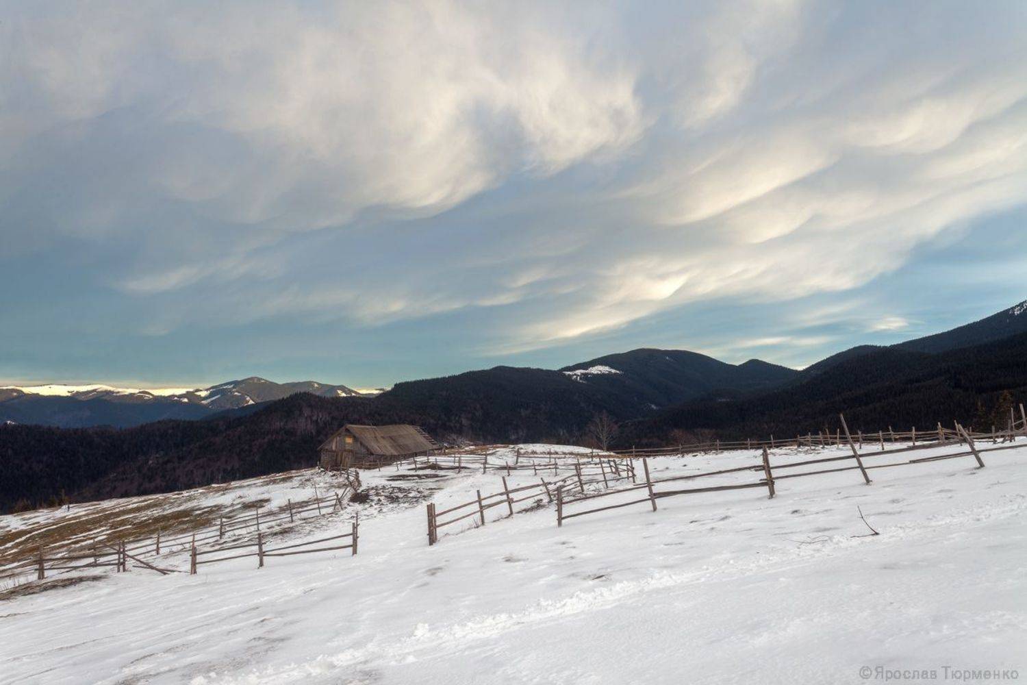 , Ярослав Тюрменко (Jaremi)