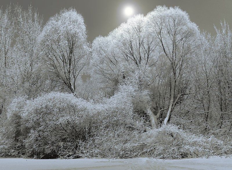 Сказка зимнего лесаphoto preview